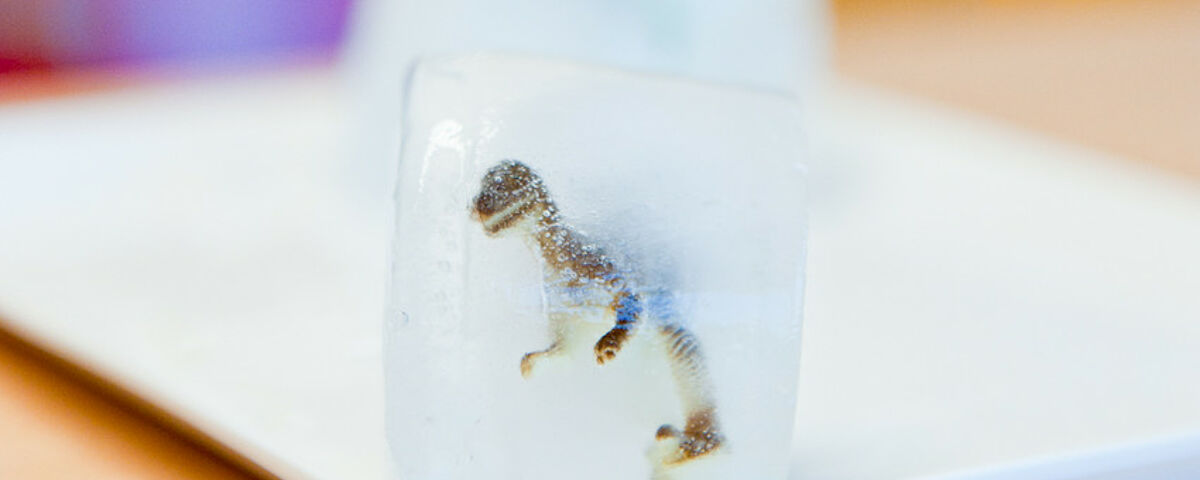 In einem Eiswürfel ist ein Spiezeugdinosaurier eingefroren. 