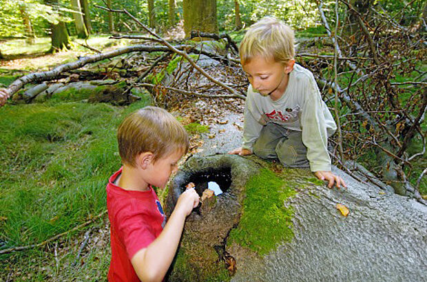 Kinder untersuchen einen Baumstamm
