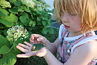 Ein Mädchen steht vor einem Busch und hält einen Käfer in der Hand