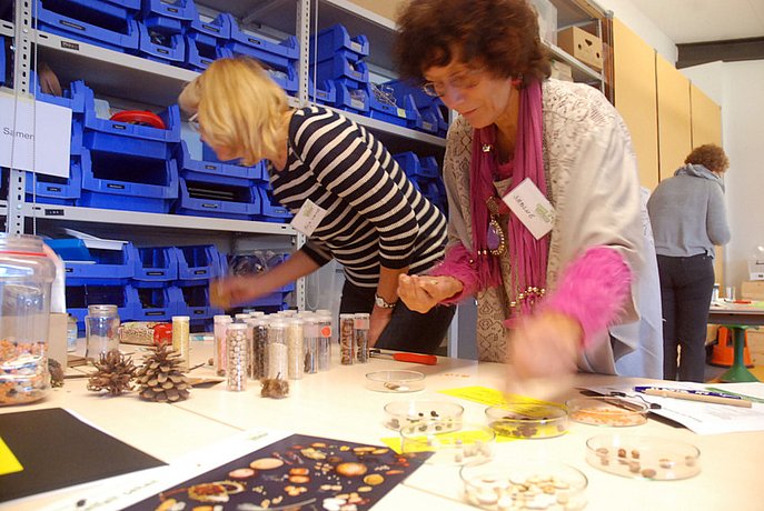 Zwei Frauen untersuchen verschiedene Gewürze und Kerne in Aufbewahrungsbehältern