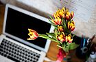 Laptop und Tulpen auf dem Schreibtisch