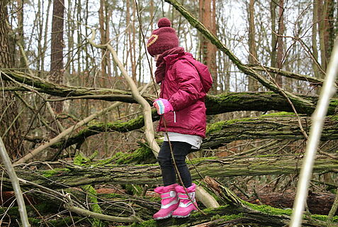 Ein Kind balanciert in Winterkleidung auf einem Baumstamm im Wald.