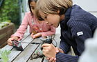Ein Junge untersucht ein Häufchen Erde mit einem digitalen Mikroskop.