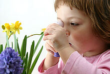 Ein Mädchen untersucht eine Narzissenblüte mit der Lupe