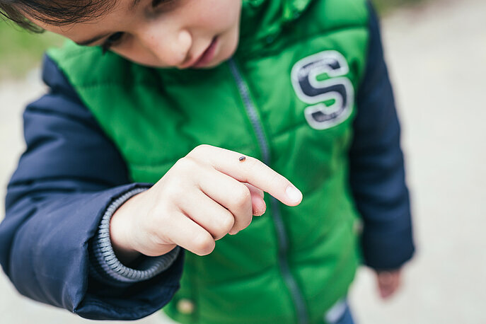Kind beobachtet einen Käfer auf seinem Finger