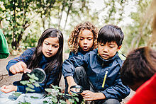 Kinder erforschen Blätter mit Lupen