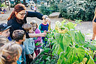 Erzieherin mit Kitakindern forscht im Garten