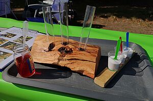 Experimentiermaterialien: Reagenzgläser, ein Glas mit rot gefärbten Wasser und Becher mit verschiedenen Pulvern